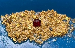 Trục vớt 1.000 đồng xu trị giá 1 triệu USD ngoài khơi Florida