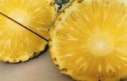 Việt Nam có 'siêu trái cây nhiệt đới' chinh phục hơn 100 quốc gia: Cực tốt cho tim mạch, lại ngăn ngừa ung thư, giá chỉ từ 15.000đ/kg