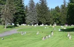 Đàn ong hơn 5,6 triệu con bên dưới nghĩa trang New York