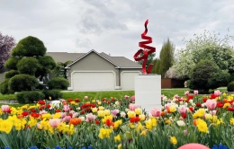 Khu vườn bốn mùa hoa của vợ chồng Việt ở Washington