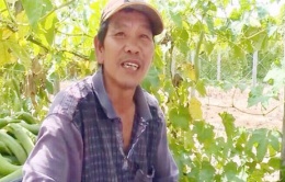 Triệu phú nông dân “ẩn thân” trên đất Mỹ