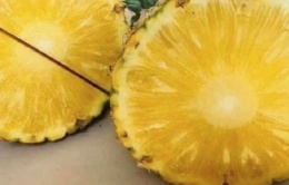 Việt Nam có 'siêu trái cây nhiệt đới' chinh phục hơn 100 quốc gia: Cực tốt cho tim mạch, lại ngăn ngừa ung thư, giá chỉ từ 15.000đ/kg Việt Nam có 'siêu trái cây nhiệt đới' chinh phục hơn 100 quốc gia: Cực tốt cho tim mạch, lại ngăn ngừa ung thư, giá chỉ từ 15.000đ/kg
