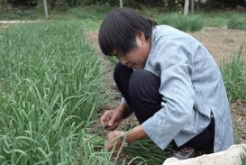 Bà ‘triệu phú nông dân gốc Việt trên xứ Mỹ