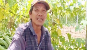 Triệu phú nông dân “ẩn thân” trên đất Mỹ