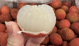 800.000 đồng một kg vải thiều Australia về Việt Nam 800.000 đồng một kg vải thiều Australia về Việt Nam