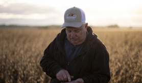 Nỗi thất vọng của nông dân Mỹ với ông Trump Nỗi thất vọng của nông dân Mỹ với ông Trump