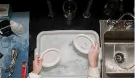 Vì sao không nên rửa bát ngay sau bữa ăn? Vì sao không nên rửa bát ngay sau bữa ăn?