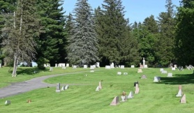 Đàn ong hơn 5,6 triệu con bên dưới nghĩa trang New York Đàn ong hơn 5,6 triệu con bên dưới nghĩa trang New York