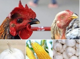 7 loại thực phẩm Trung Quốc được truyền thông Mỹ cảnh báo không nên ăn