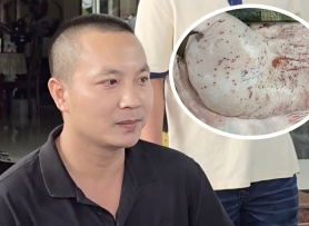 Đại diện C.P: Hình ảnh 'tố' heo bệnh là thật