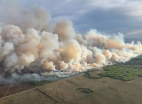 Khói cháy rừng bao phủ nhiều khu vực ở Mỹ, Canada, lan sang châu Âu