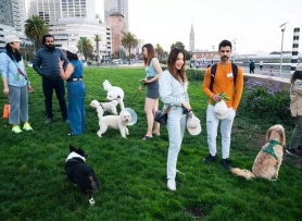 Người San Francisco ngán ngẩm vì bị chó làm phiền ở nơi công cộng