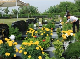 Cách sắm lễ và cúng, tảo mộ Tết Thanh minh