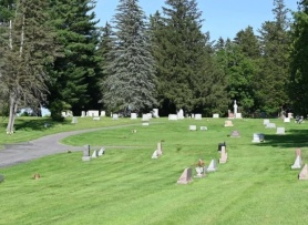 Đàn ong hơn 5,6 triệu con bên dưới nghĩa trang New York