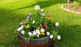 14 Fascinating Ways Of Using Barrels As A Garden Decoration