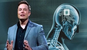 Công ty của Elon Musk được cấp phép cấy chip não ở người