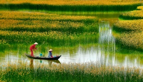 Một thoáng quê hương: Không nơi nào bằng quê hương Việt Nam tươi đẹp
