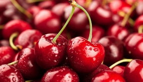 Trồng cherry tại nhà cho quả sai trĩu cành, ăn quanh năm không hết