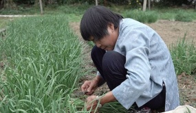 Bà ‘triệu phú nông dân gốc Việt trên xứ Mỹ