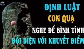 Về già muốn con cái báo hiếu phải nhớ 'định luật con quạ', biết sớm phúc càng dày