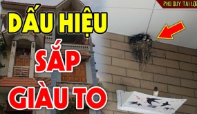 Tổ Tiên dặn chẳng sai: 5 con vật là đệ tử Thần Tài, đến nhà là tiền theo đến, nhớ đừng đuổi đi