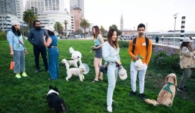 Người San Francisco ngán ngẩm vì bị chó làm phiền ở nơi công cộng