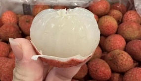 800.000 đồng một kg vải thiều Australia về Việt Nam