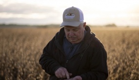 Nỗi thất vọng của nông dân Mỹ với ông Trump