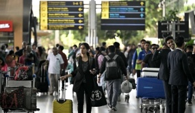 Làn sóng hủy lịch visa Mỹ đẩy nhiều chuyên gia vào ngõ cụt