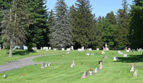 Đàn ong hơn 5,6 triệu con bên dưới nghĩa trang New York