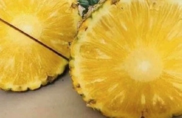 Việt Nam có 'siêu trái cây nhiệt đới' chinh phục hơn 100 quốc gia: Cực tốt cho tim mạch, lại ngăn ngừa ung thư, giá chỉ từ 15.000đ/kg