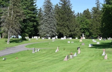 Đàn ong hơn 5,6 triệu con bên dưới nghĩa trang New York Đàn ong hơn 5,6 triệu con bên dưới nghĩa trang New York