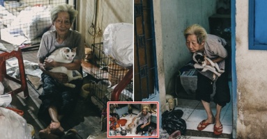 Nể phục cụ bà U90 cưu mang hàng trăm chó mèo, trạm cứu hộ ngỏ ý nhận bớt mà vẫn không cho: “Tui coi tụi nó như con sao bỏ được”