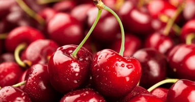 Trồng cherry tại nhà cho quả sai trĩu cành, ăn quanh năm không hết