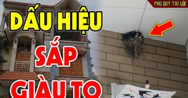 Tổ Tiên dặn chẳng sai: 5 con vật là đệ tử Thần Tài, đến nhà là tiền theo đến, nhớ đừng đuổi đi