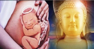 Vì sao đứa trẻ lại muốn đầu thai vào nhà bạn! Dù có con hay không bạn cũng nên đọc
