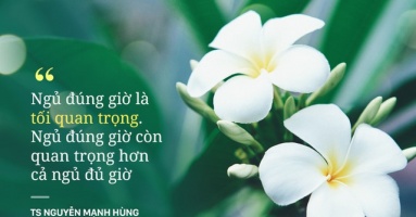 TS Nguyễn Mạnh Hùng: 'Rất nhiều người đang ngủ sai giờ. Họ không biết đường tới nghĩa địa dần ngắn lại'