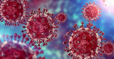 TRỜI ƠI! Australia thừa nhận làm THẤT LẠC 300 lọ virus có thể lấy sự sống con người, ở Việt Nam có đáng lo không