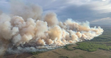 Khói cháy rừng bao phủ nhiều khu vực ở Mỹ, Canada, lan sang châu Âu