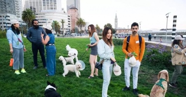 Người San Francisco ngán ngẩm vì bị chó làm phiền ở nơi công cộng