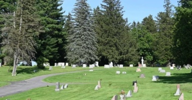 Đàn ong hơn 5,6 triệu con bên dưới nghĩa trang New York